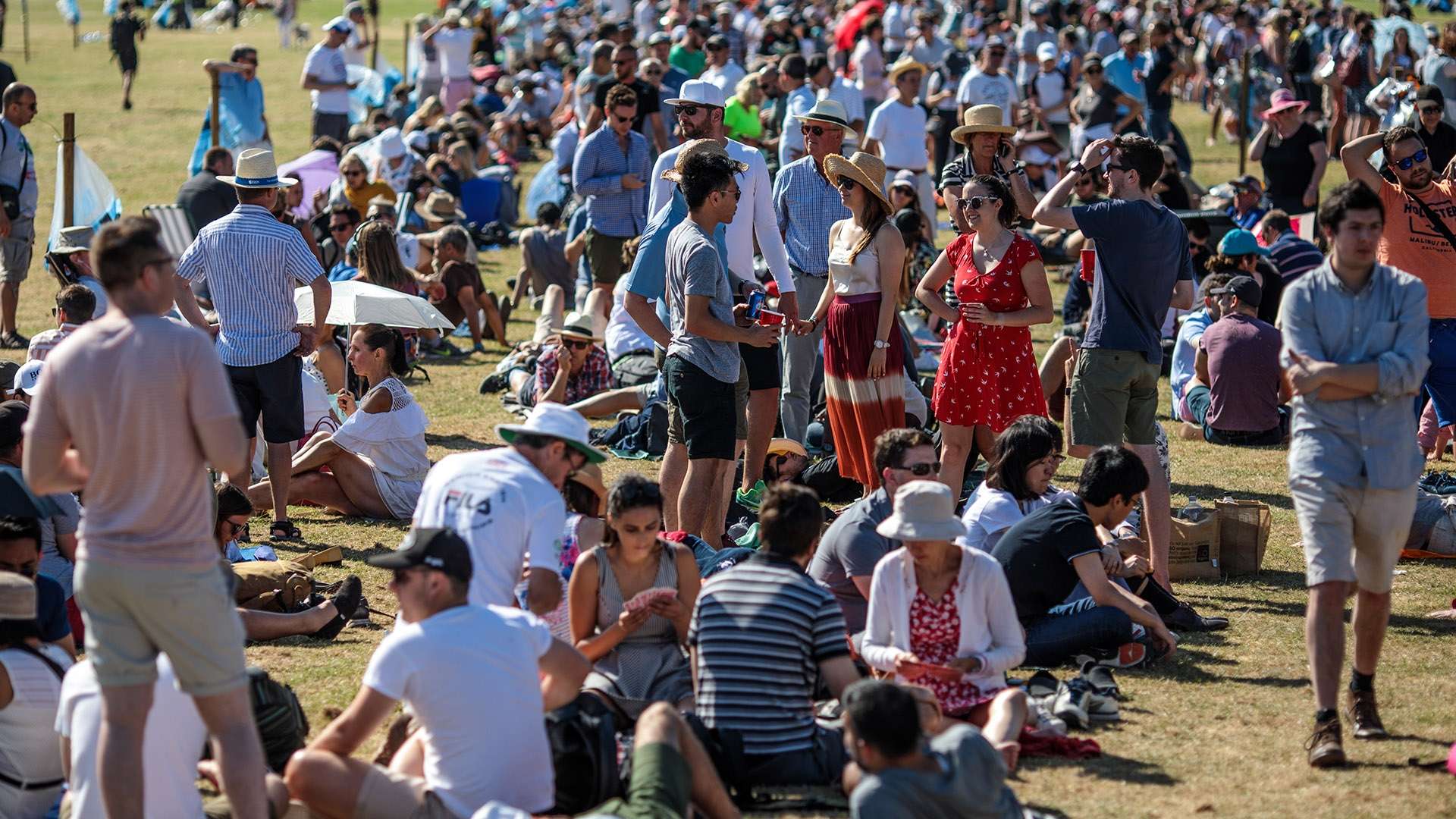 这两位球员 这两位球员